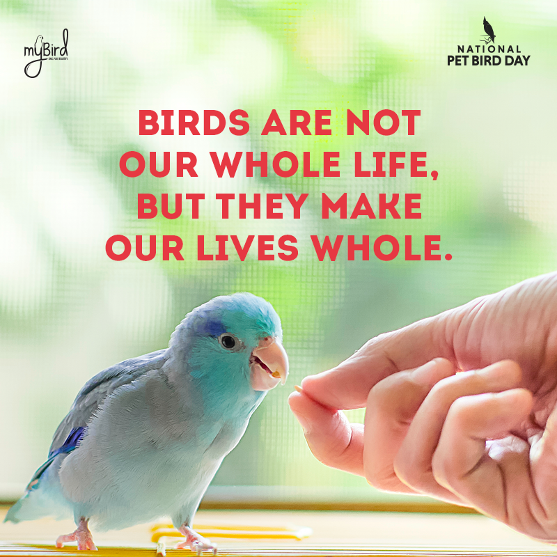 Birds are not our whole life, but they make our lives whole.