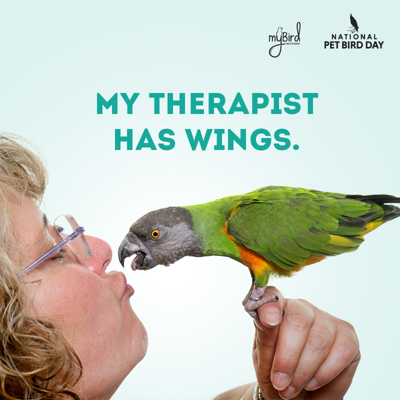My therapist has wings.