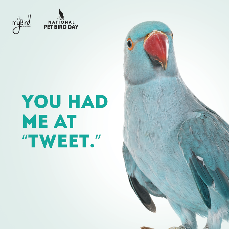 You had me at 'tweet.'