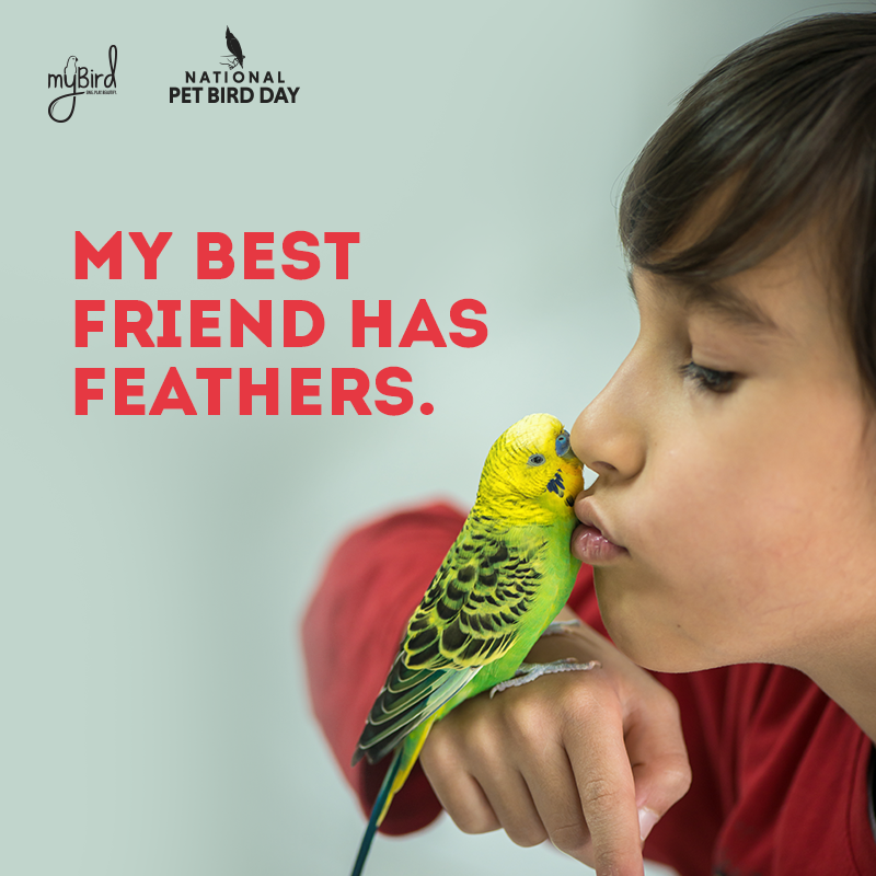 My best friend has feathers.