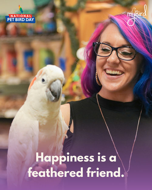 Happiness is a feathered friend.