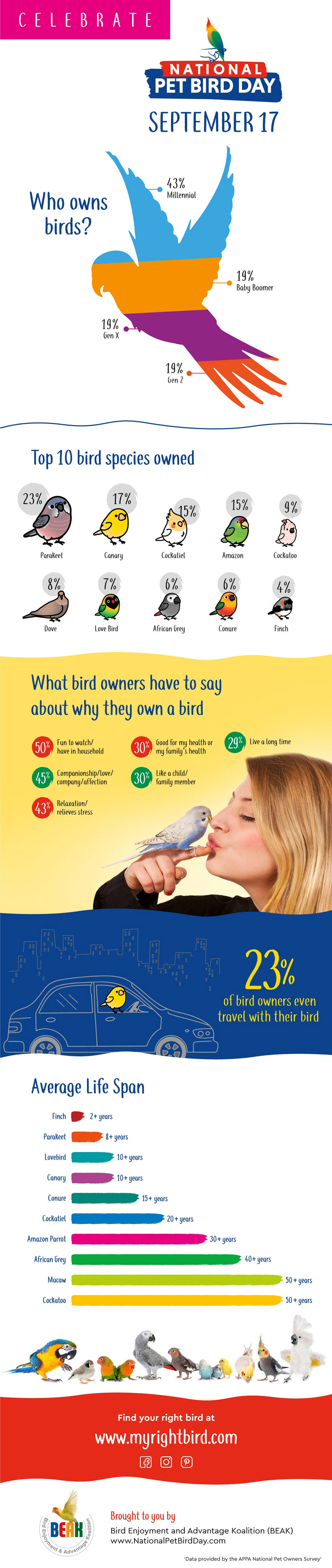 National Pet Bird Day infographic
