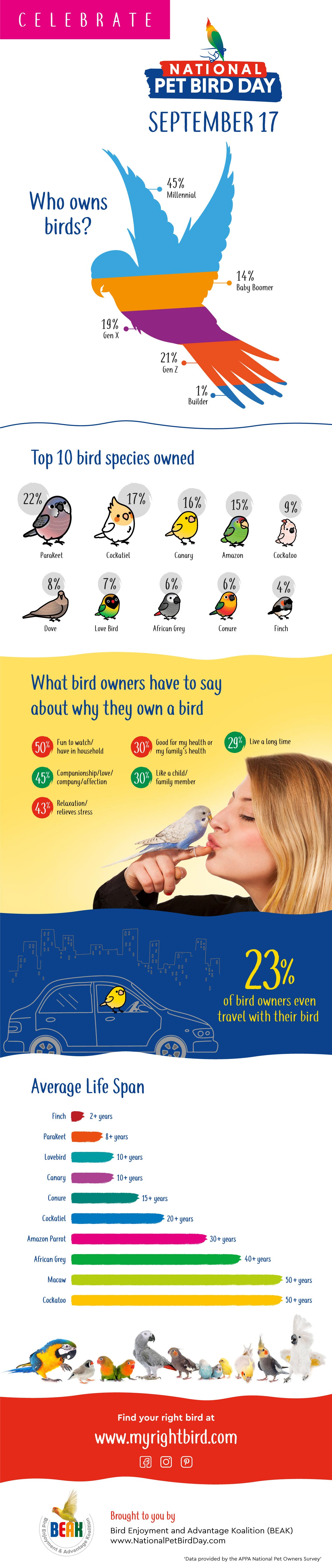 National Pet Bird Day infographic