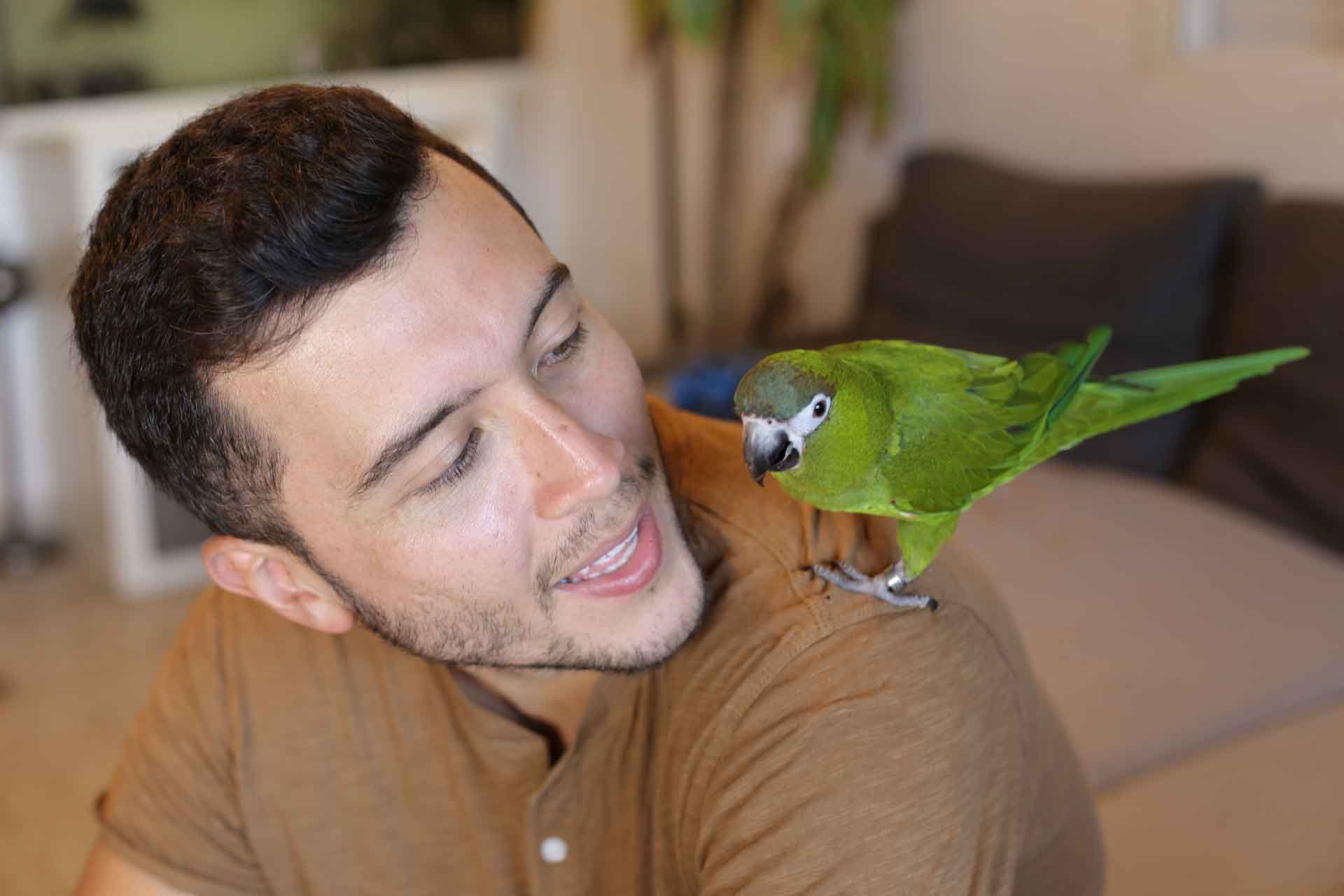 Why Birds Make Great Pets | MyBird