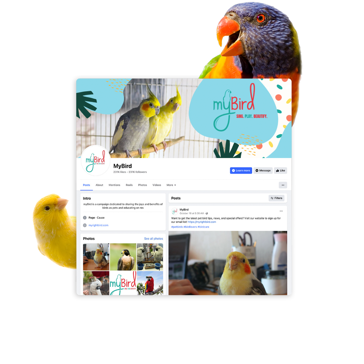 The myBird Facebook page