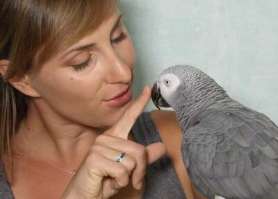 A woman brings her finger to the beak of an African Grey perched on her arm.