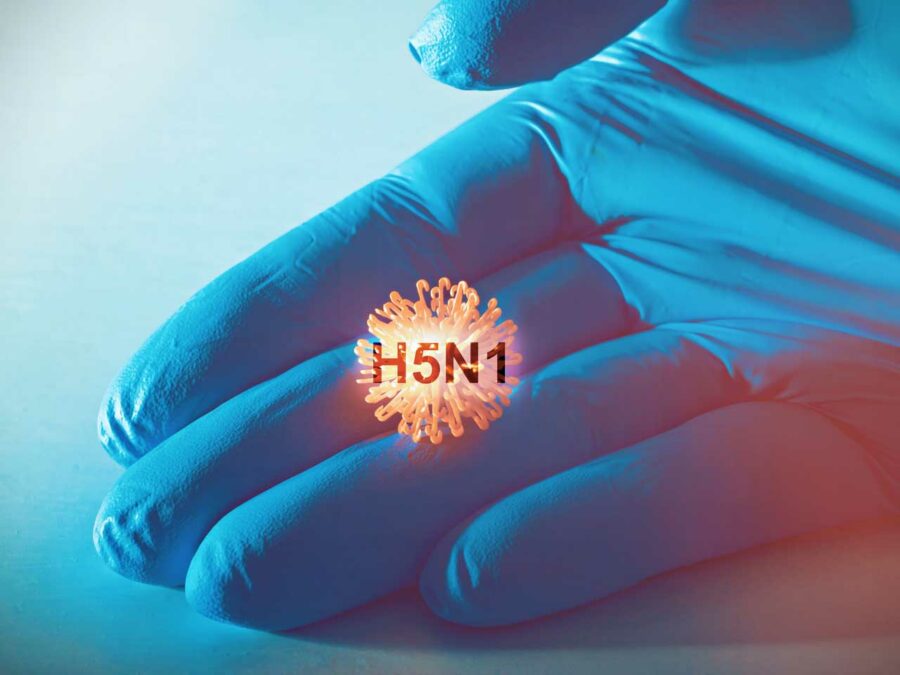 A gloved hand holding an exaggeratedly sized H5N1 virion.