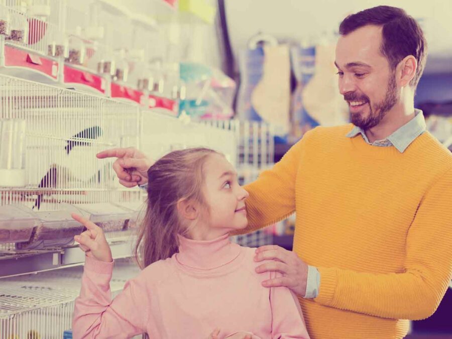 A young girl and a man explore their local bird retailer