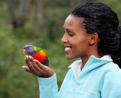 A woman holds a rainbow lorikeet in the palm of her hand.