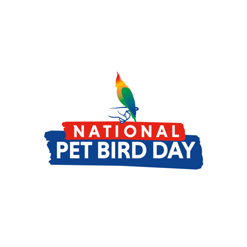 Join Us in Celebrating National Pet Bird Day 2024 on September 17 myBird